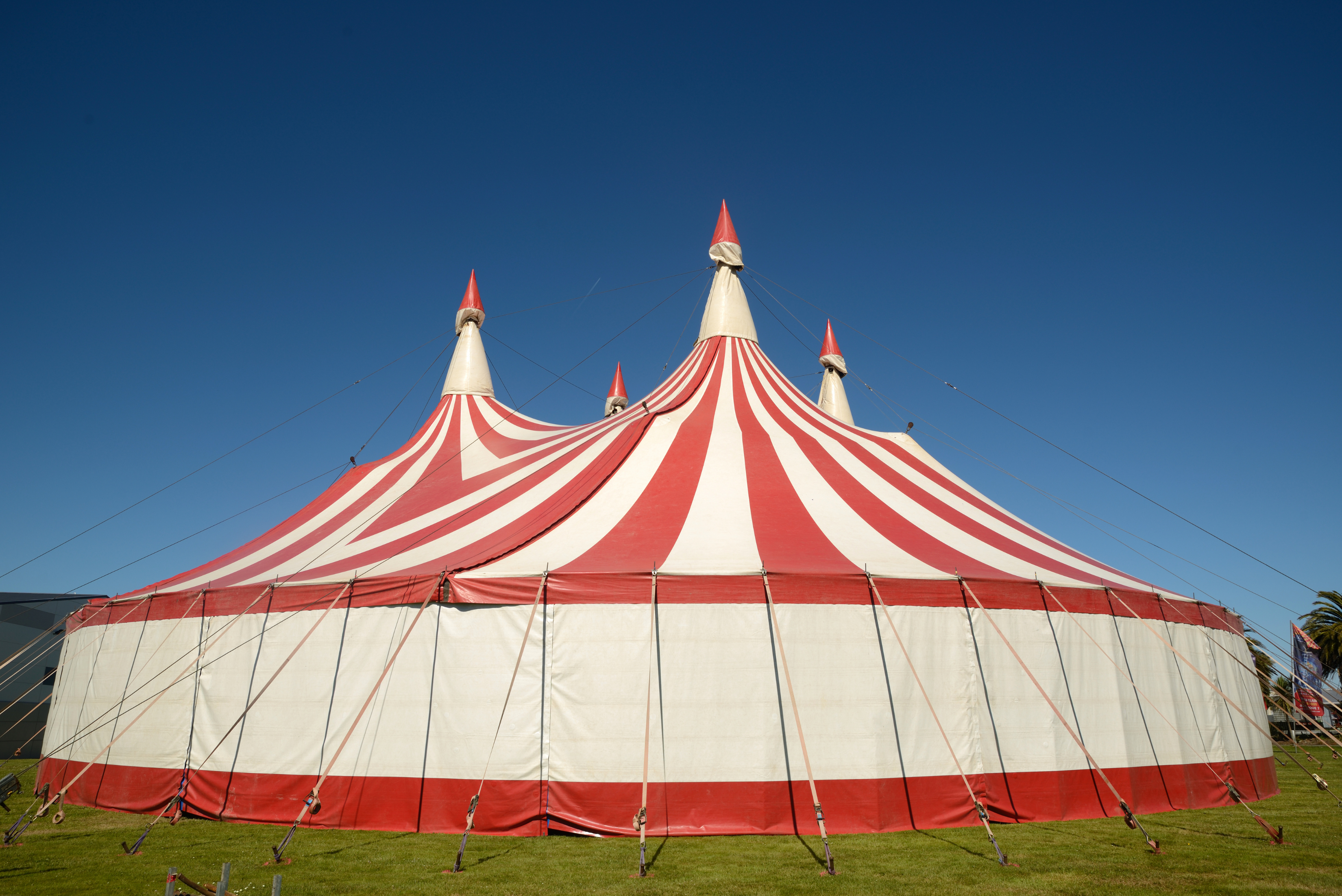 Large red and white striped circus tent