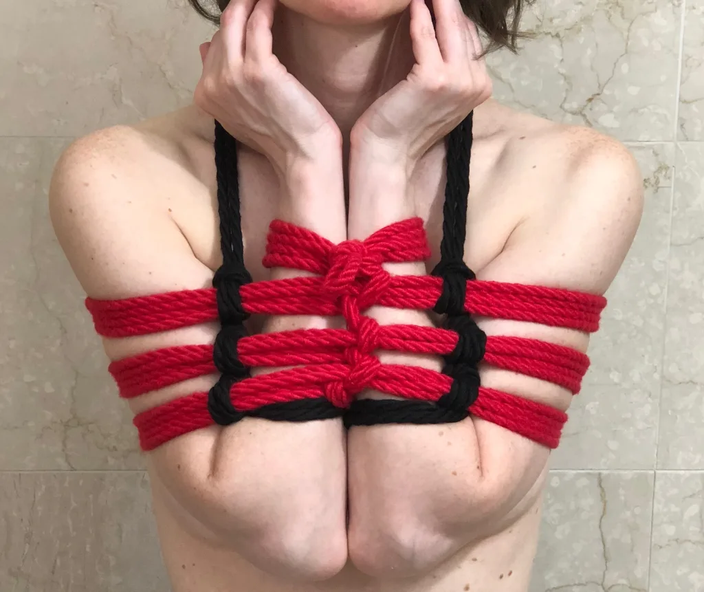 Woman's arms and upper body tied up with red and black rope