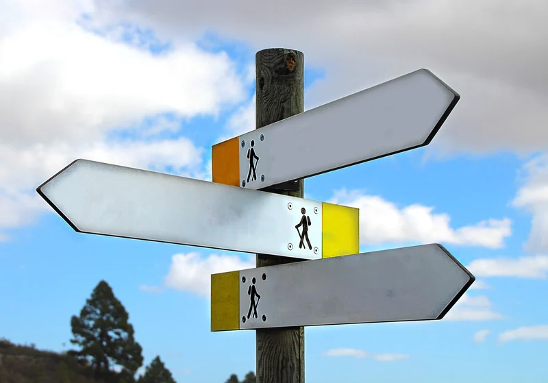 Blank hiking trail signs pointing in different directions